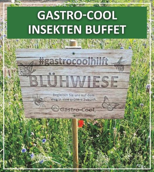 Blumenwiese-gastro-cool-2021